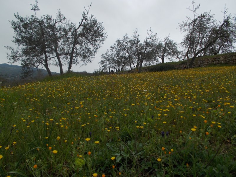 dscn5975.jpg