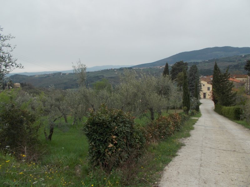 dscn5976.jpg
