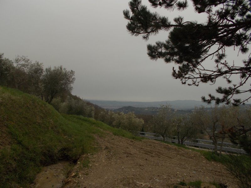 dscn5979.jpg