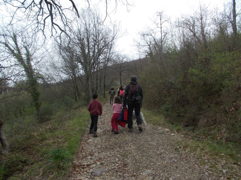 dscn5981.jpg
