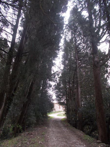 dscn5991.jpg