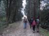 dscn5992_small.jpg
