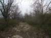 dscn6011_small.jpg
