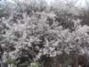 dscn6018_small.jpg