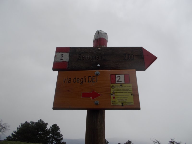 dscn6019.jpg