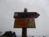 dscn6019_small.jpg