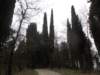 dscn6024_small.jpg