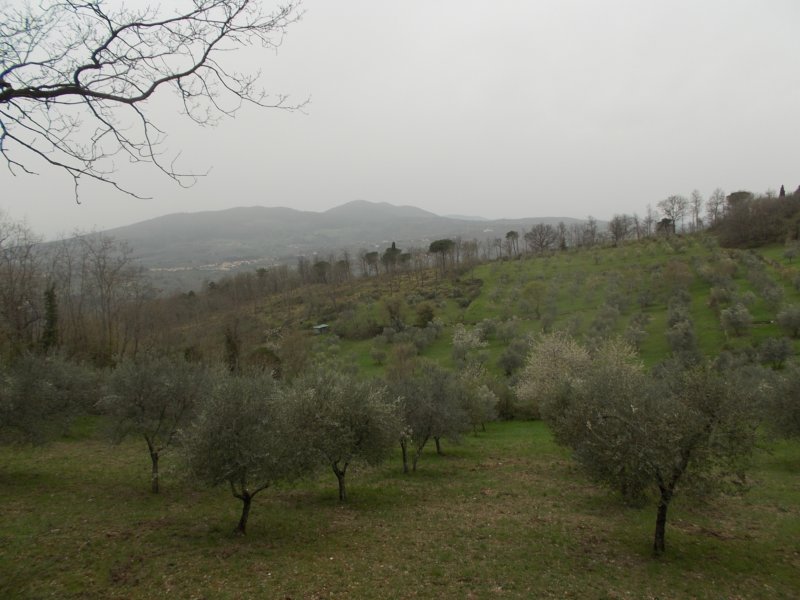 dscn6028.jpg