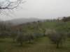 dscn6028_small.jpg
