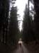 dscn6036_small.jpg