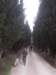 dscn6038_small.jpg