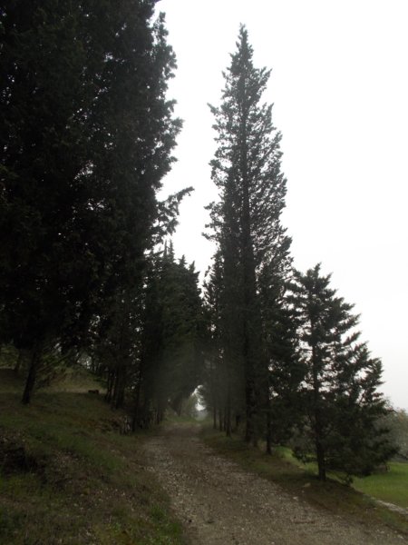 dscn6039.jpg