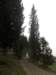 dscn6039_small.jpg