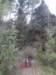 dscn6041_small.jpg