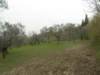 dscn6044_small.jpg