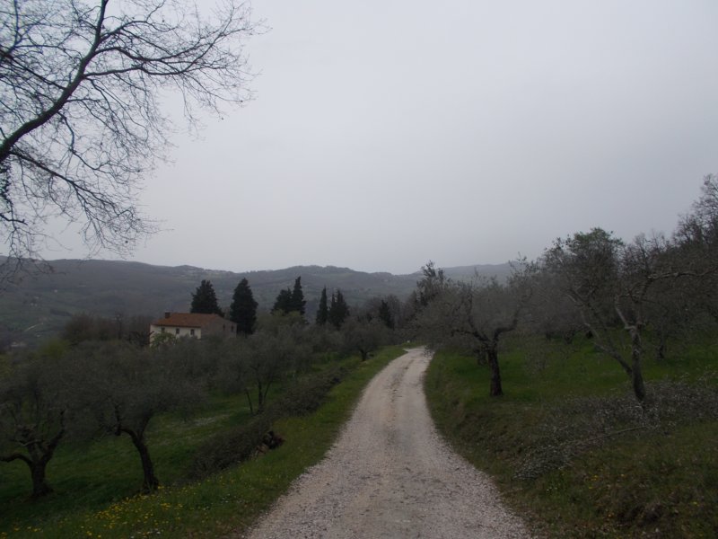 dscn6052.jpg