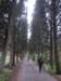 dscn6069_small.jpg