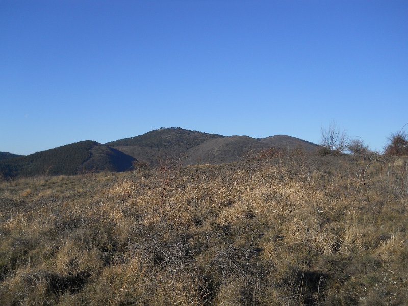 DSCN0711.JPG
