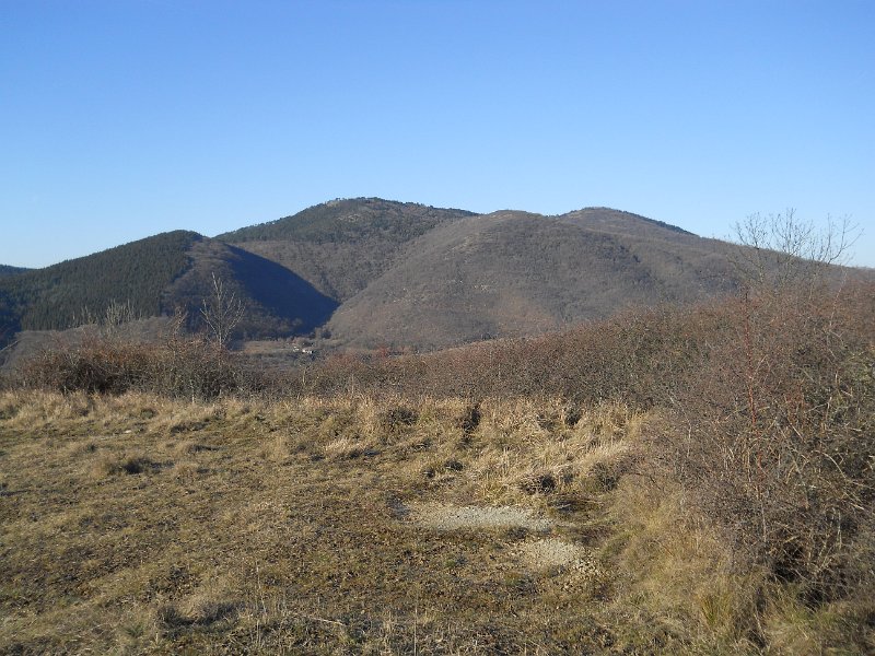 DSCN0718.JPG