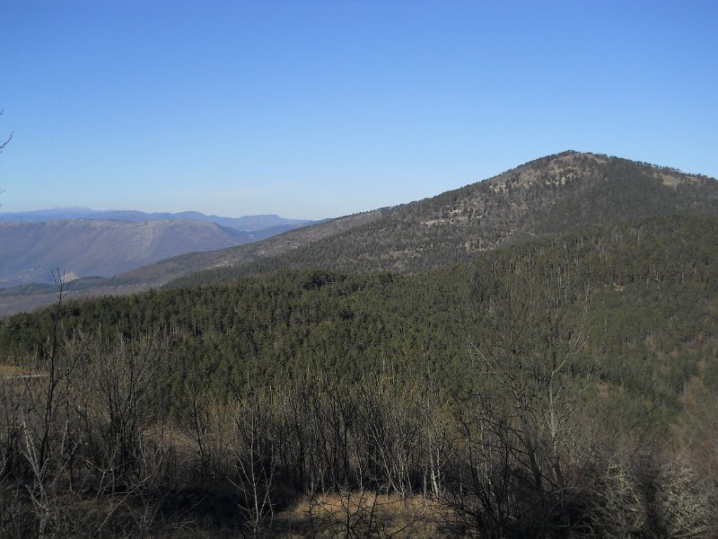DSCN0754.JPG