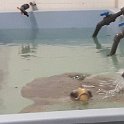 IMG-20170522-WA0008