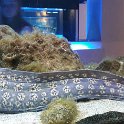 IMG-20170522-WA0009