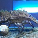 IMG-20170522-WA0010