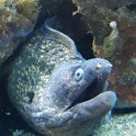 IMG-20170522-WA0011