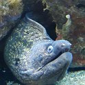 IMG-20170522-WA0012