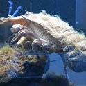 IMG-20170522-WA0013