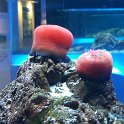 IMG-20170522-WA0014