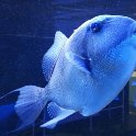 IMG-20170522-WA0016