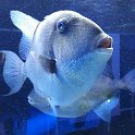 IMG-20170522-WA0017