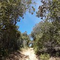IMG-20170522-WA0022