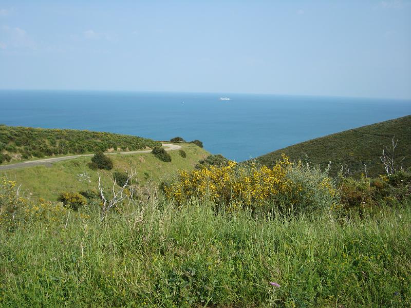 DSC09623.JPG