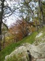 DSCN10001