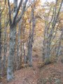 DSCN10004