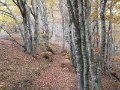 DSCN10013