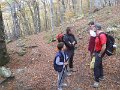 DSCN10016