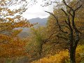 DSCN10021