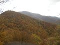 DSCN10022