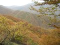 DSCN10042