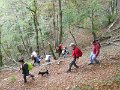 DSCN10051