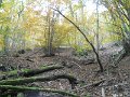 DSCN10071