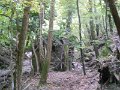 DSCN10093