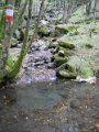 DSCN10103