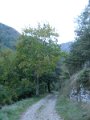 DSCN10116