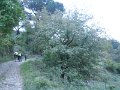 DSCN10118