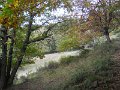 DSCN9896