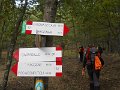 DSCN9912